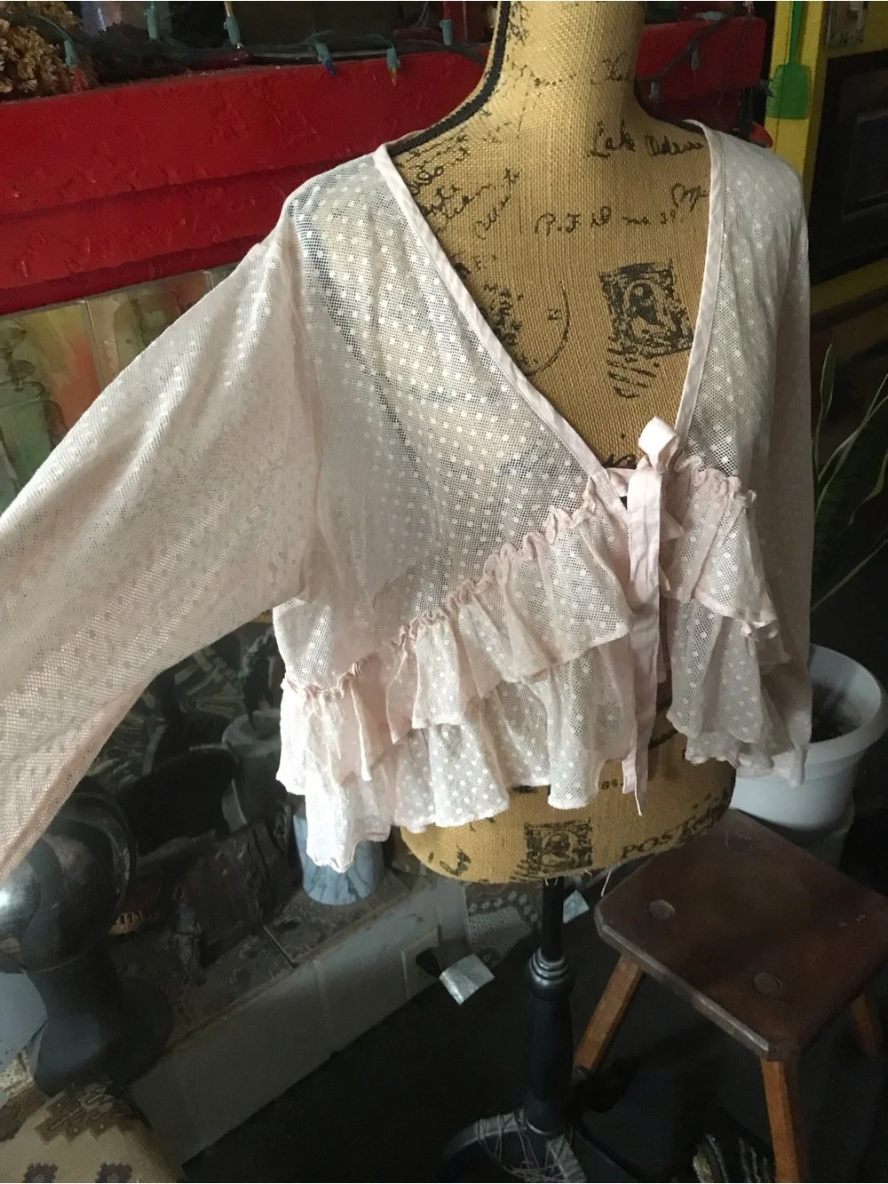 Heart’s Desire by Mary Grace Sheer Blush Pink Ruffled Tie-Front top - Picture 12 of 14